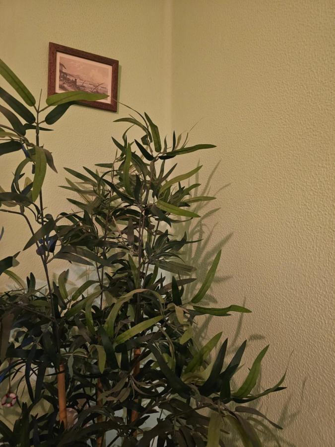 Habitacion Amplia Y Centrica En Piso Compartido โอโกรูญา ภายนอก รูปภาพ